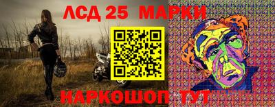 спиды Донской