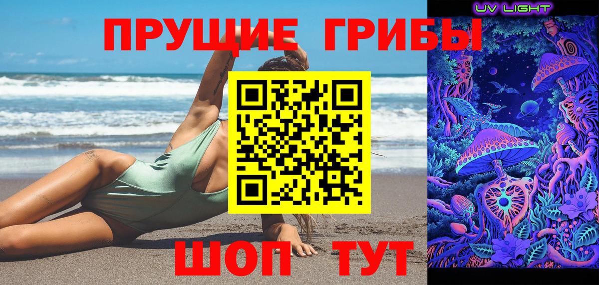 Псилоцибиновые грибы Cubensis  Псилоцибиновые грибы Psilocybine cubensis  Вход с VPN  Топки 